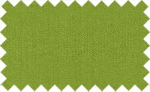 Green Wasabi, 100% Cotton - The fabric has shiny surface.